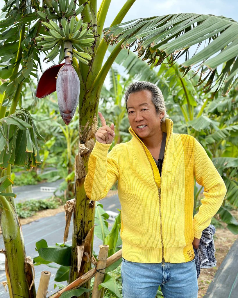 Speedy Farm Okinawa : “Blue Java Banana” (a.k.a. Blue Banana) will be harvested in Japan for the first time this summer!
