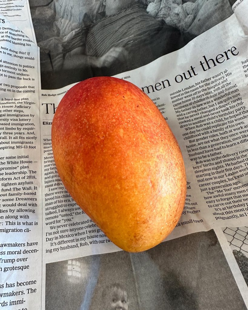 スピーディファーム沖縄のマンゴー初収穫！