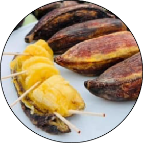 ふるさと納税<br>（ふるさとチョイス）