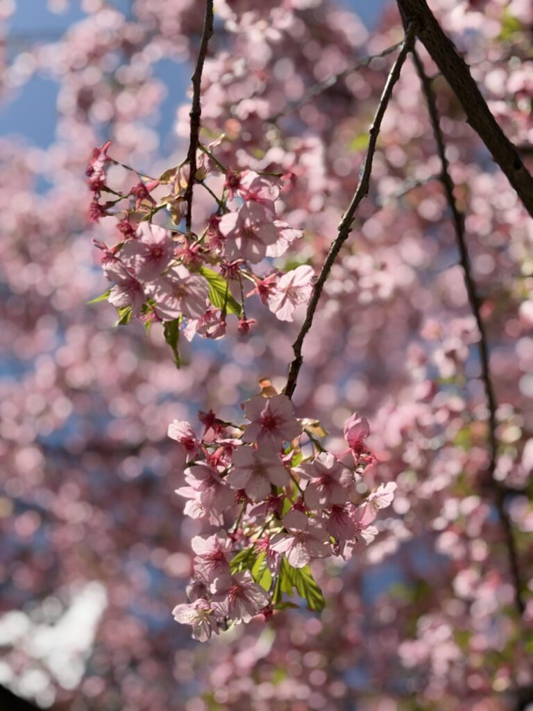 みんな大好きAIの話